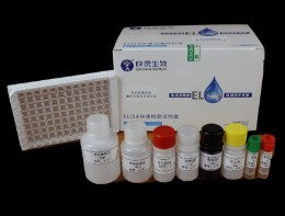 牛羊布氏桿菌抗體檢測(cè)試劑盒